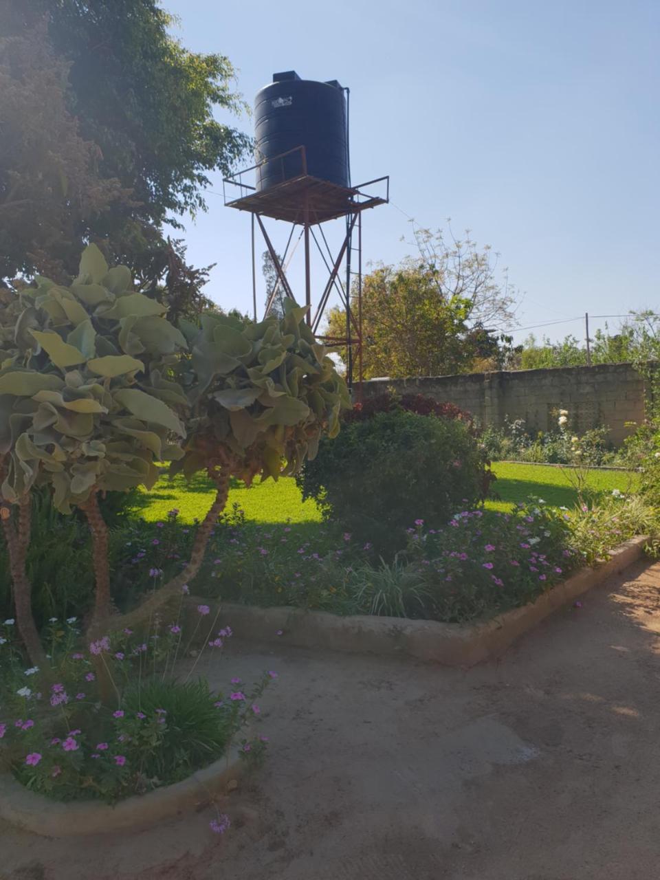 The Oasis Evergreen Lodge Choma Екстериор снимка