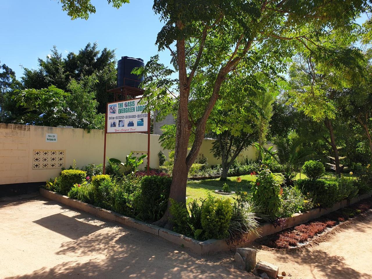 The Oasis Evergreen Lodge Choma Екстериор снимка